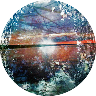 ice sheet lake flames bright vibrant paiges dragonfly lome marsupial image