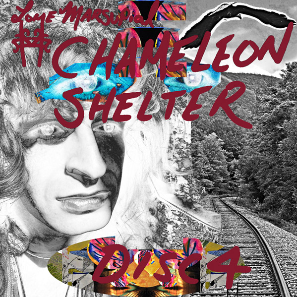 lome marsupial chameleon shelter disc 4 cover