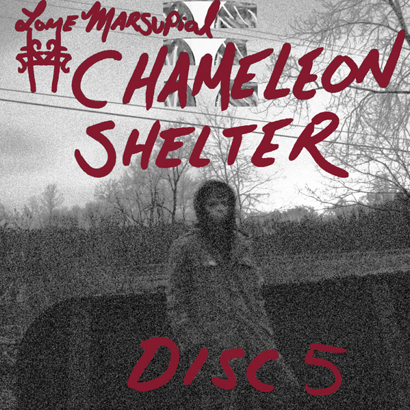 lome marsupial chameleon shelter disc 5 cover