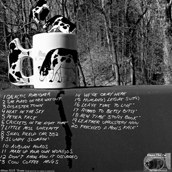 Cow Coffee Mugs_BackCover350