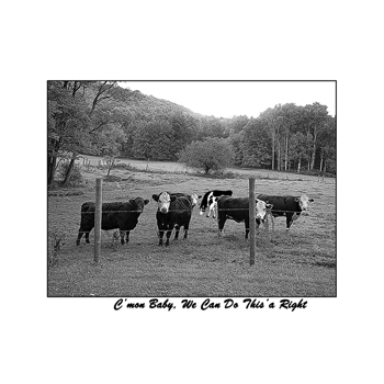 Cow Coffee Mugs_09-350
