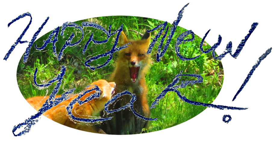 Image The Fox Call