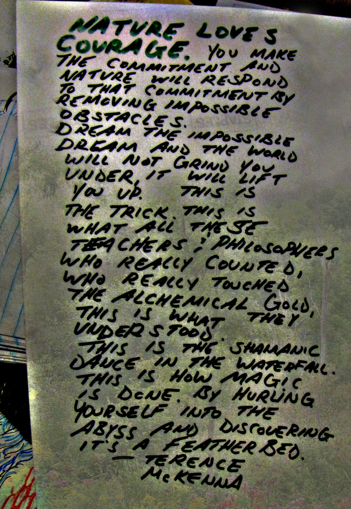 Terence McKenna Courage